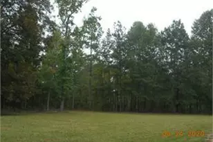 0 Union Point Hwy, Greensboro, GA 30642 - Photo 1