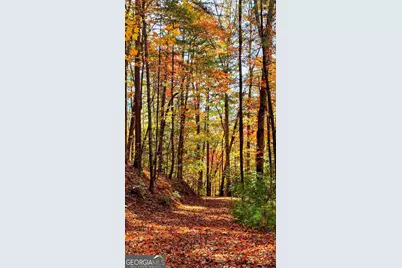 Lot 4 Gold Ridge Trail, Cherrylog, GA 30522 - Photo 5