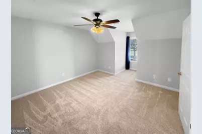 30 Lake Park Court, Sharpsburg, GA 30277 - Photo 29