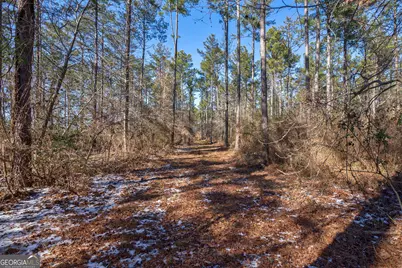 2841 Cole Springs Road, Bishop, GA 30621 - Photo 7