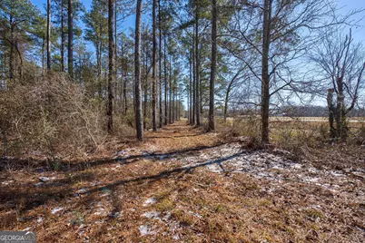 2841 Cole Springs Road, Bishop, GA 30621 - Photo 5