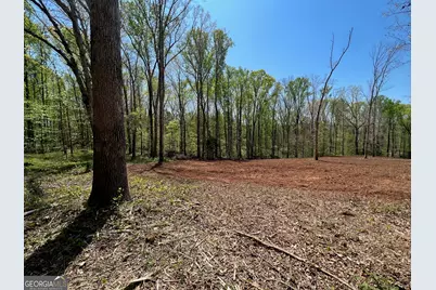 344 Hidden Valley Drive, Alto, GA 30510 - Photo 3
