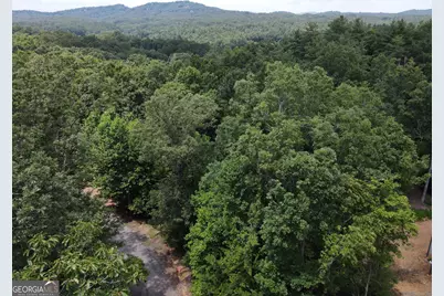 Lot 4 Scouts Overlook Lane, Morganton, GA 30560 - Photo 37