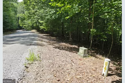 Lot 4 Scouts Overlook Lane, Morganton, GA 30560 - Photo 27