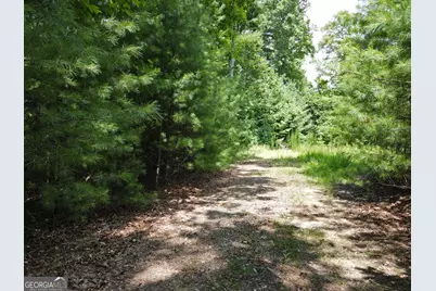 Lot 4 Scouts Overlook Lane, Morganton, GA 30560 - Photo 19