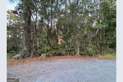 138 Picket Run, Brunswick, GA 31520 - Photo 1