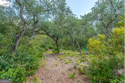 128 Satilla Bluffs Drive, Blackshear, GA 31516 - Photo 51