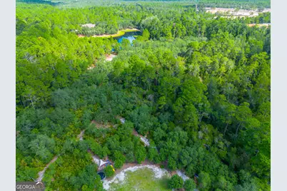 128 Satilla Bluffs Drive, Blackshear, GA 31516 - Photo 53