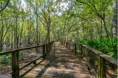128 Satilla Bluffs Drive, Blackshear, GA 31516 - Photo 49
