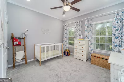 128 Satilla Bluffs Drive, Blackshear, GA 31516 - Photo 45