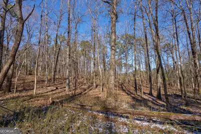 2821 Cole Springs Road, Bishop, GA 30621 - Photo 9