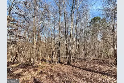 6411 Columbus Road, Lizella, GA 31052 - Photo 25