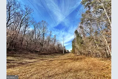 6411 Columbus Road, Lizella, GA 31052 - Photo 13