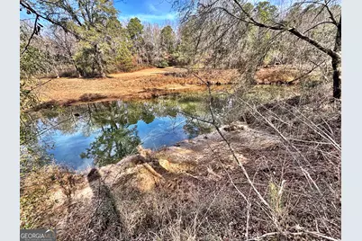 6411 Columbus Road, Lizella, GA 31052 - Photo 17