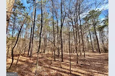 6411 Columbus Road, Lizella, GA 31052 - Photo 31