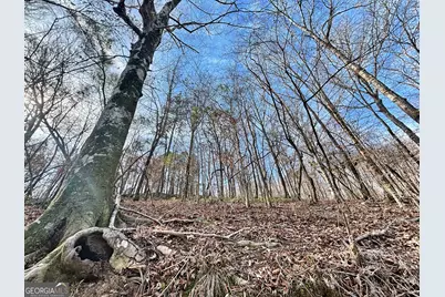 6411 Columbus Road, Lizella, GA 31052 - Photo 11