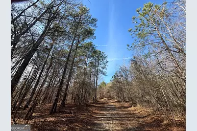 6411 Columbus Road, Lizella, GA 31052 - Photo 35