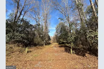 6411 Columbus Road, Lizella, GA 31052 - Photo 3