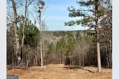 6411 Columbus Road, Lizella, GA 31052 - Photo 29