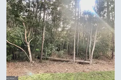 120 Montrose, Saint Simons, GA 31522 - Photo 3