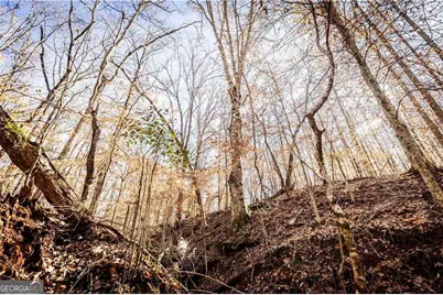 391 Marvin Land Lane, Canton, GA 30115 - Photo 11