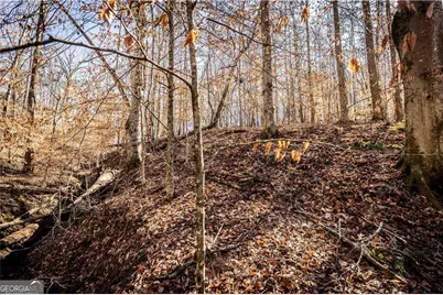 391 Marvin Land Lane, Canton, GA 30115 - Photo 9