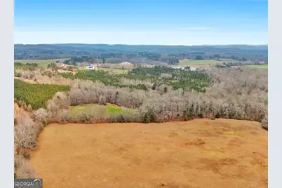 120 Ellerbee Lake Road, Thomaston, GA 30286 - Photo 21