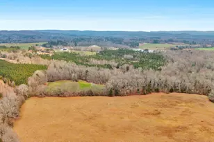 120 Ellerbee Lake Rd, Thomaston, GA 30286 - Photo 25