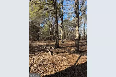 114 Ohoopee Road, Adrian, GA 31002 - Photo 17