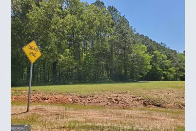 110 Hogan Pond Lane, Ball Ground, GA 30107 - Photo 3