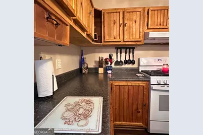 77 Hollow Log Path, Cleveland, GA 30528 - Photo 9