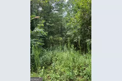 Lts 43 &amp; 44 Reece Mountain Road, Ellijay, GA 30536 - Photo 17