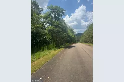 Lts 43 &amp; 44 Reece Mountain Road, Ellijay, GA 30536 - Photo 11