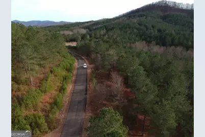 Lts 43 &amp; 44 Reece Mountain Road, Ellijay, GA 30536 - Photo 13