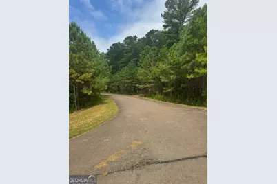 Lts 43 &amp; 44 Reece Mountain Road, Ellijay, GA 30536 - Photo 23