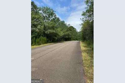 Lts 43 &amp; 44 Reece Mountain Road, Ellijay, GA 30536 - Photo 19