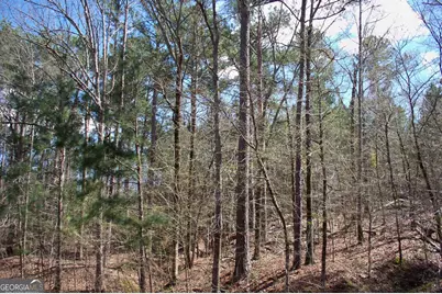 1360 Northwoods Drive, Greensboro, GA 30642 - Photo 5