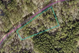 1360 Northwoods Dr, Greensboro, GA 30642 - Photo 1