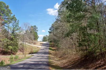 1360 Northwoods Drive, Greensboro, GA 30642 - Photo 3