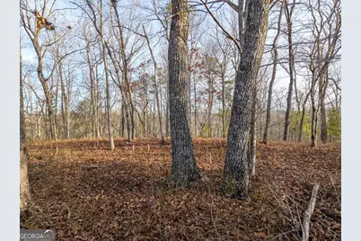 Lts 156 &amp; 157 Harris Creek Drive, Ellijay, GA 30540 - Photo 3