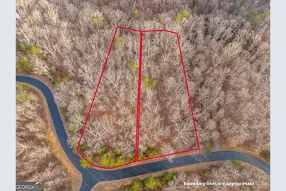 Lts 156 &amp; 157 Harris Creek Drive, Ellijay, GA 30540 - Photo 5