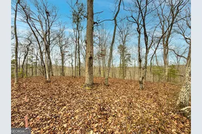 Lts 156 &amp; 157 Harris Creek Drive, Ellijay, GA 30540 - Photo 1
