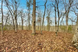 Lts 156 &amp 157 Harris Creek Dr, Ellijay, GA 30540 - Photo 1