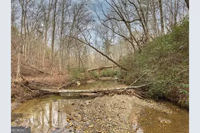 Lts 156 &amp; 157 Harris Creek Drive, Ellijay, GA 30540 - Photo 13