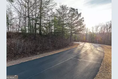 Lts 156 &amp; 157 Harris Creek Drive, Ellijay, GA 30540 - Photo 7