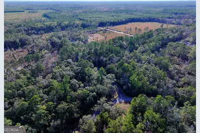 0 Merlin Court, Waverly, GA 31565 - Photo 7