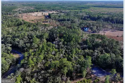 0 Merlin Court, Waverly, GA 31565 - Photo 9