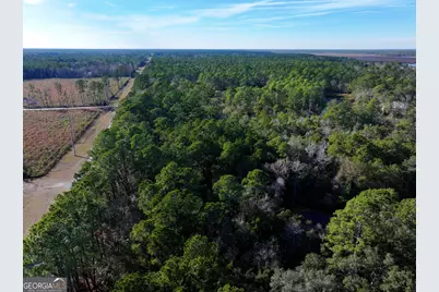 0 Merlin Court, Waverly, GA 31565 - Photo 13