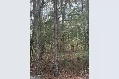 0 Cedar Ridge, Clayton, GA 30525 - Photo 5