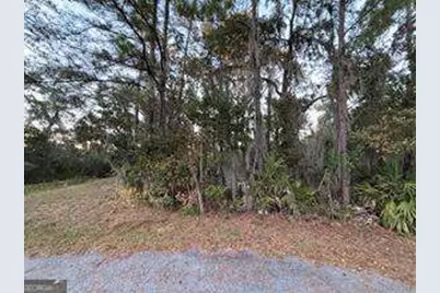 147 Picket Run, Brunswick, GA 31520 - Photo 1